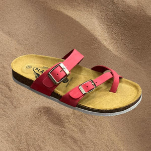 Plakton 181032 Coral