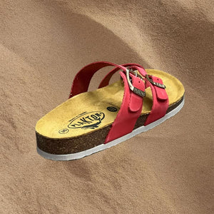 Plakton 181032 Coral