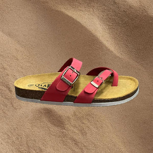 Plakton 181032 Coral