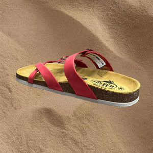 Plakton 181032 Coral