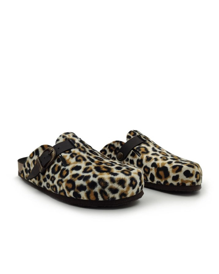 Plakton 181539 Animal