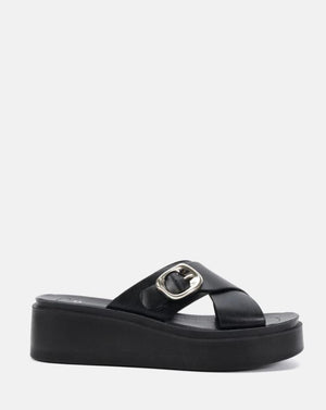 Novo Bonanza Black