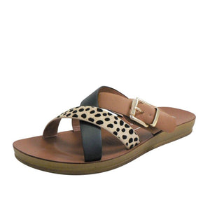 Los Cabos Brik Cheetah