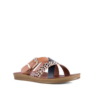 Los Cabos Brik Cheetah