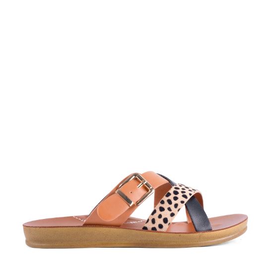 Los Cabos Brik Cheetah