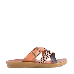 Los Cabos Brik Cheetah