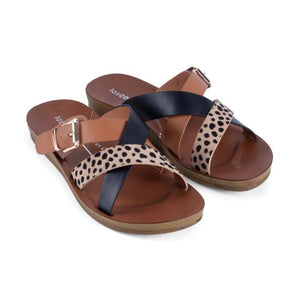 Los Cabos Brik Cheetah