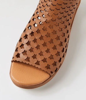 D&J Channa Dk Tan