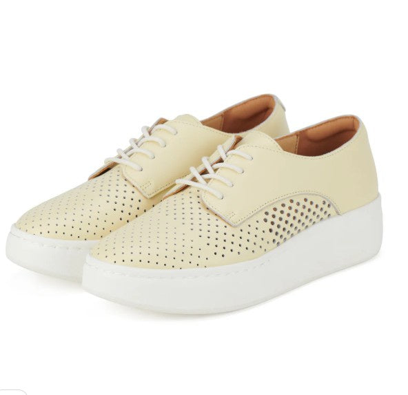 Rollie City Punch Lemon