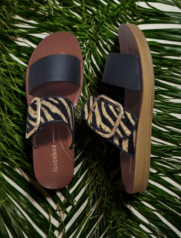 Los Cabos Doti Black Zebra