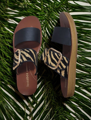 Los Cabos Doti Black Zebra