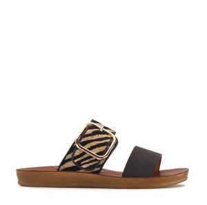 Los Cabos Doti Black Zebra