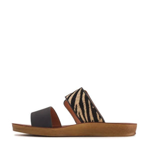 Los Cabos Doti Black Zebra