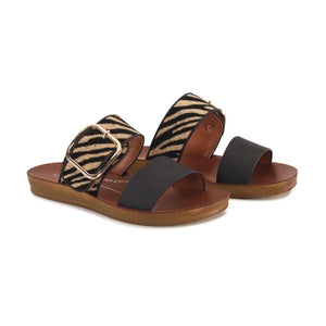 Los Cabos Doti Black Zebra