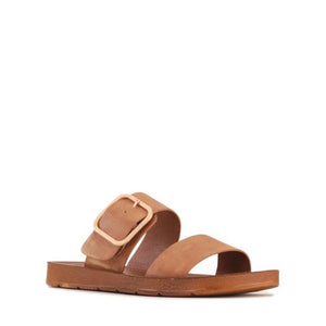 Los Cabos Doti Wide Brandy