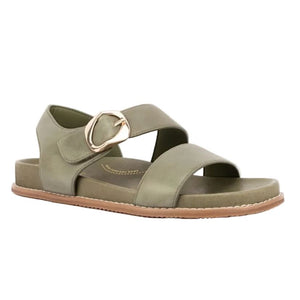Silver Lining Figtree Olive