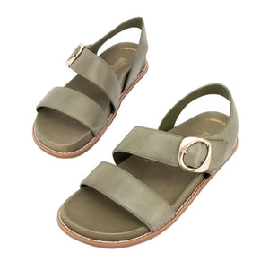 Silver Lining Figtree Olive