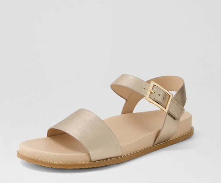 Ziera Hammil Champagne