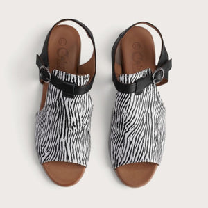 Cabello Poppy Zebra