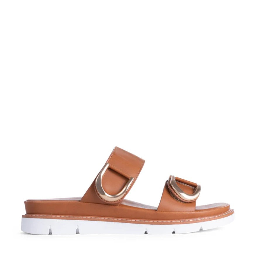 Los Cabos San Brandy