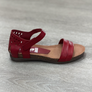 Zeta Reece Red