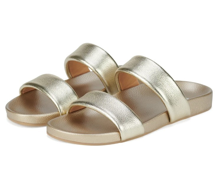 Rollie Tide Strap Gold