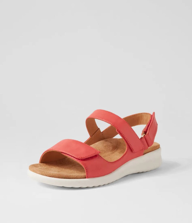 Ziera Benji Orange Wht