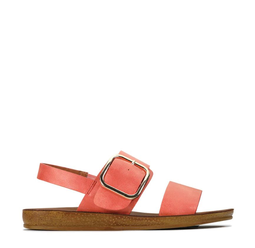 Los Cabos Doto Coral