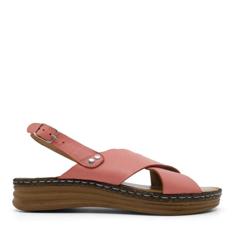 Tesselli Grace Eglantine