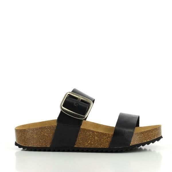 Plakton 343004 Black